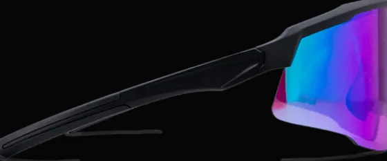 Glasögon>Everest Outdoor Falcon Hd Vision BLACK/PURPLE