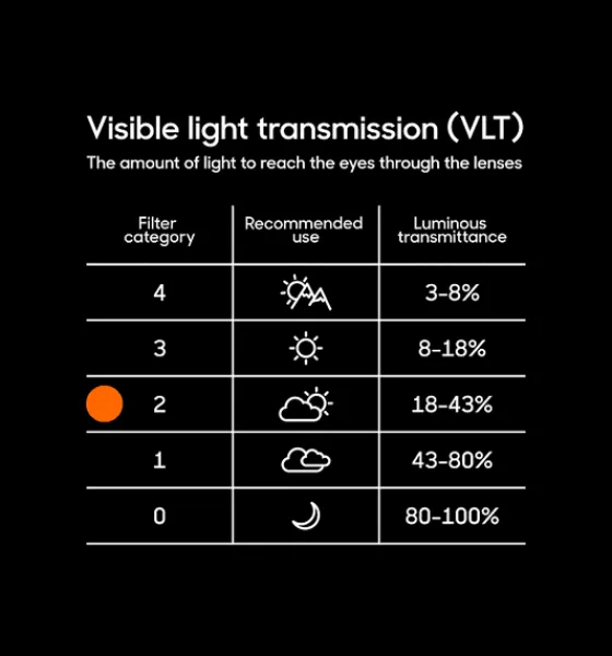 Glasögon>Everest Outdoor Falcon Hd Vision BLACK/PURPLE